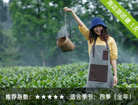 ˇl(xing)壨´壩}F(tun)